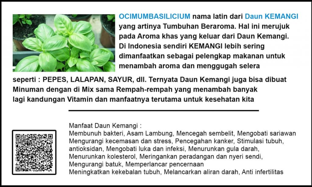 Teh Rempah Kemangi Minuman Herbal Alami Rempah Indonesia